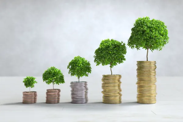 Growing coin stacks with small trees showing a Professional Website for Small Businesses as a long-term investment