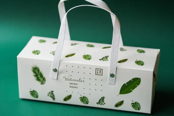 An elegant white box with green leaf patterns illustrating the expert services offered by graphic designers.